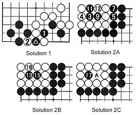 sol2a-2d